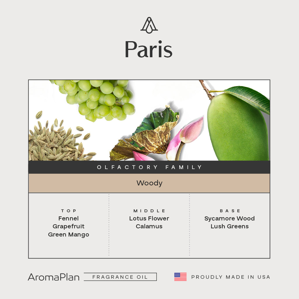 Paris Fragrance (Inspired by “Terre D&