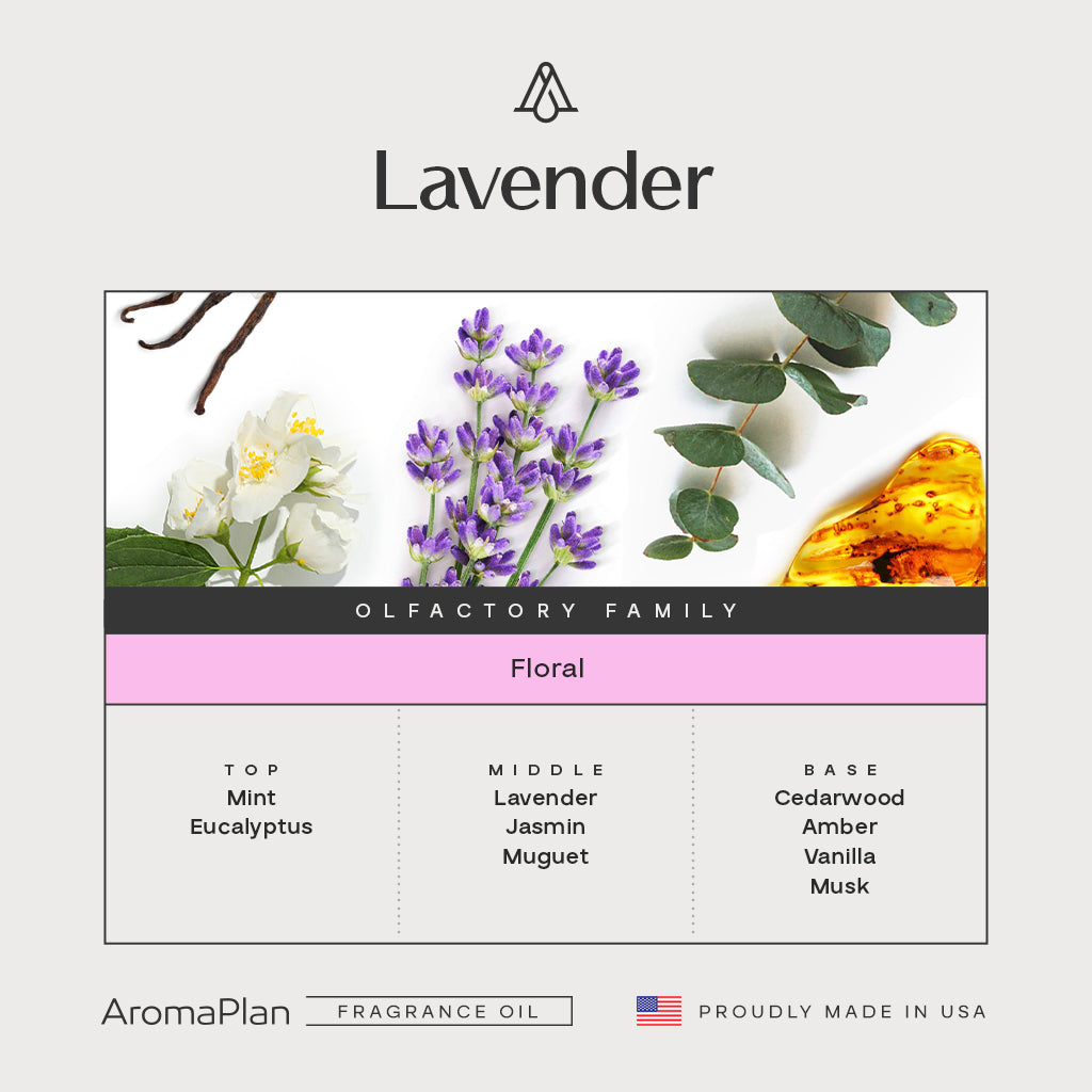 lavender plant fragrance Lavender Fragrance AP026