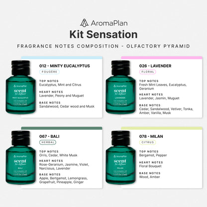 Kit Sensations - 4 Fragrance Dropper Bottles (15ml each)